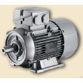 Электродвигатель Siemens 1LG4223-8AB6 (22кВт/750) 